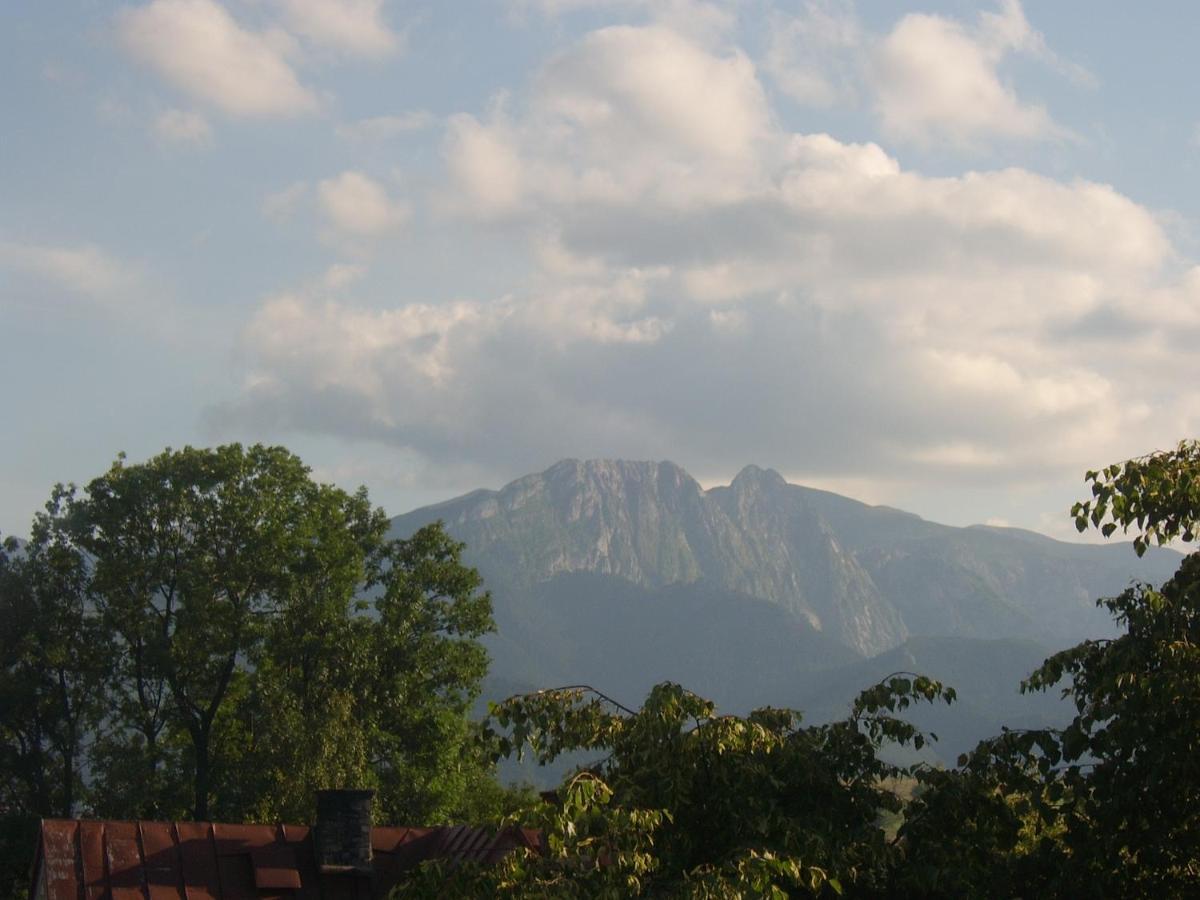 Willa U Kasi Zakopane Dış mekan fotoğraf